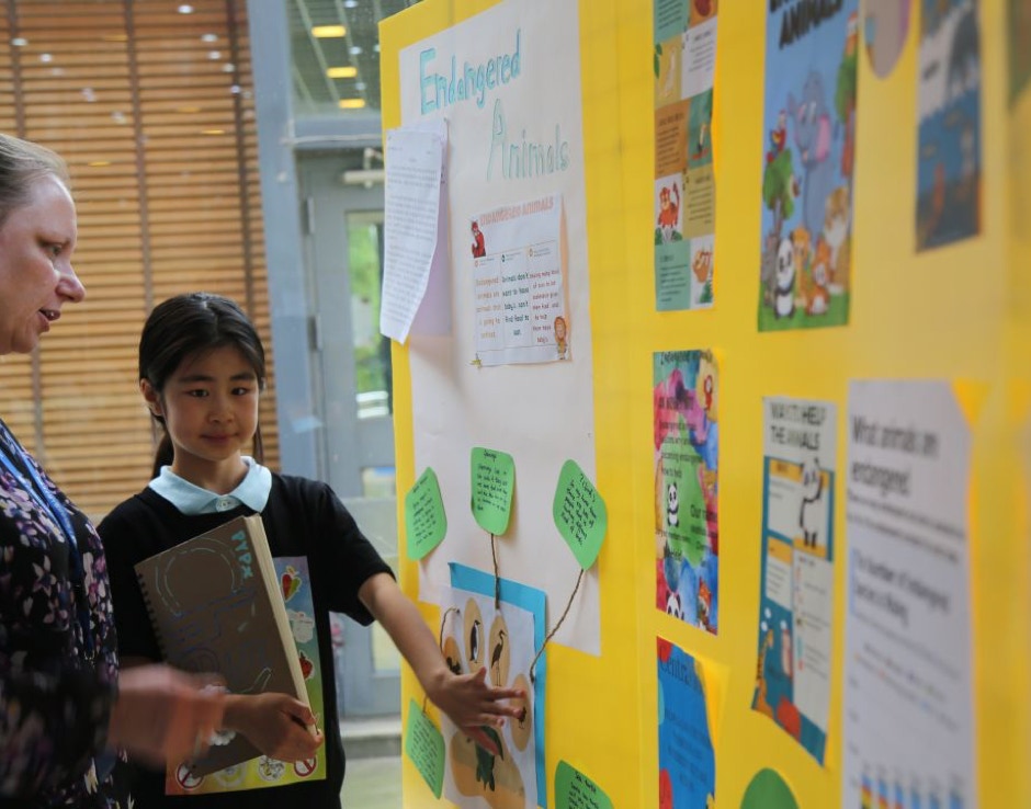 Students Tackle Global Issues | PYP Exhibition